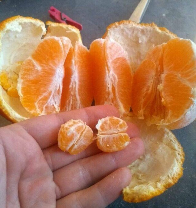 People Who Won The Food Lottery (25 pics)