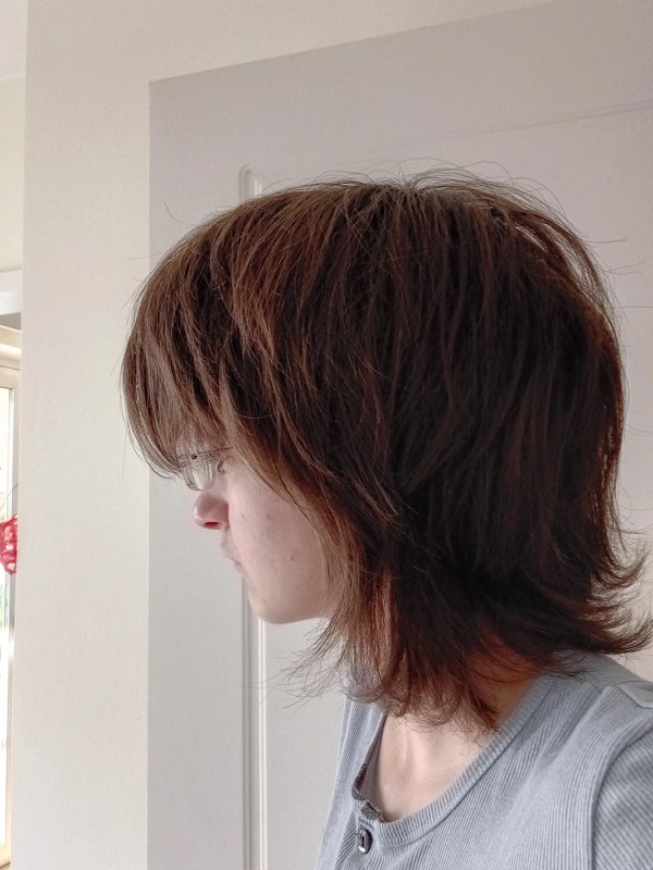 Awful Haircuts (24 pics)