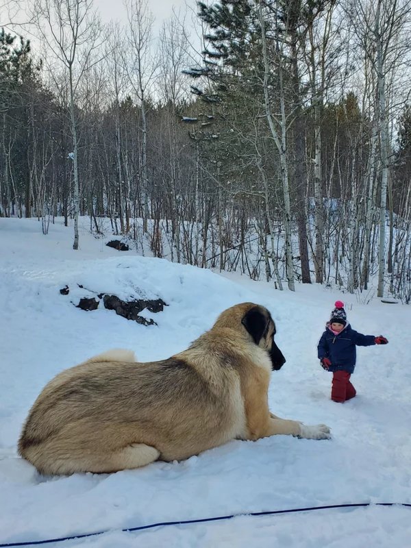 Look Twice (24 pics)