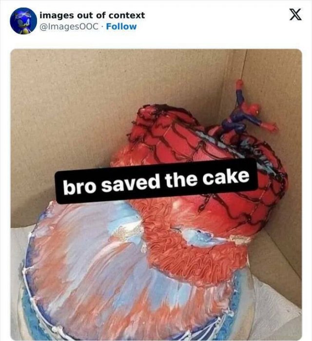 Funny Photos Without Context (20 pics)