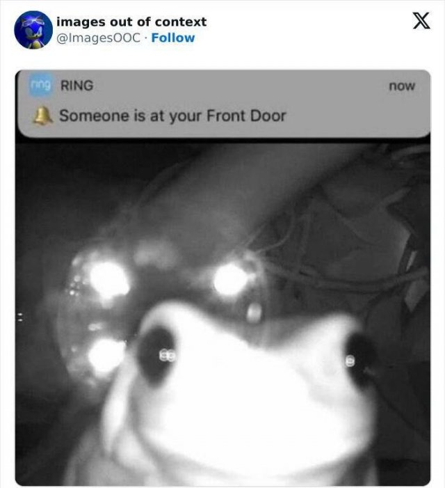 Funny Photos Without Context (20 pics)