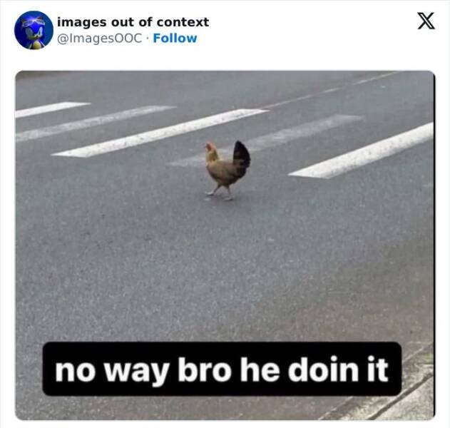 Funny Photos Without Context (20 pics)