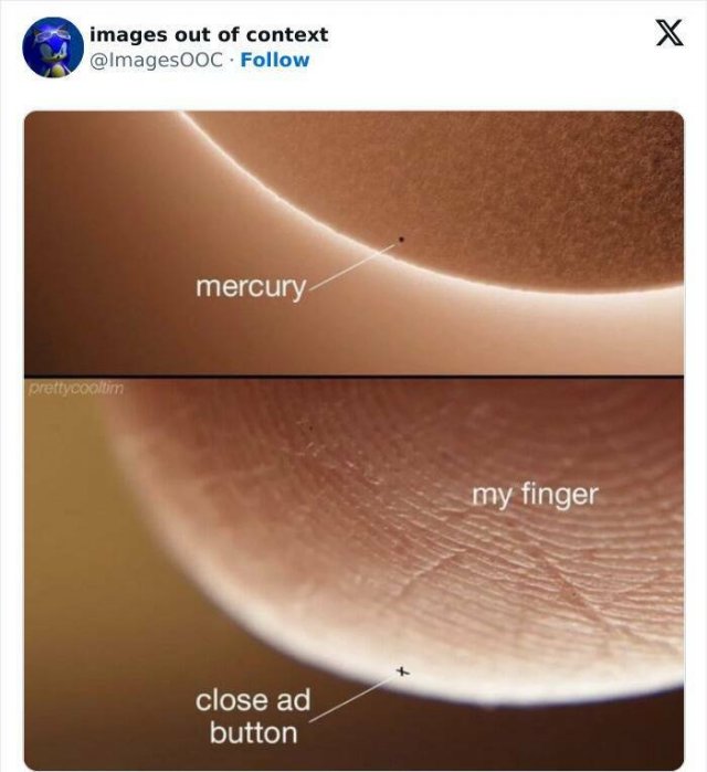 Funny Photos Without Context (20 pics)