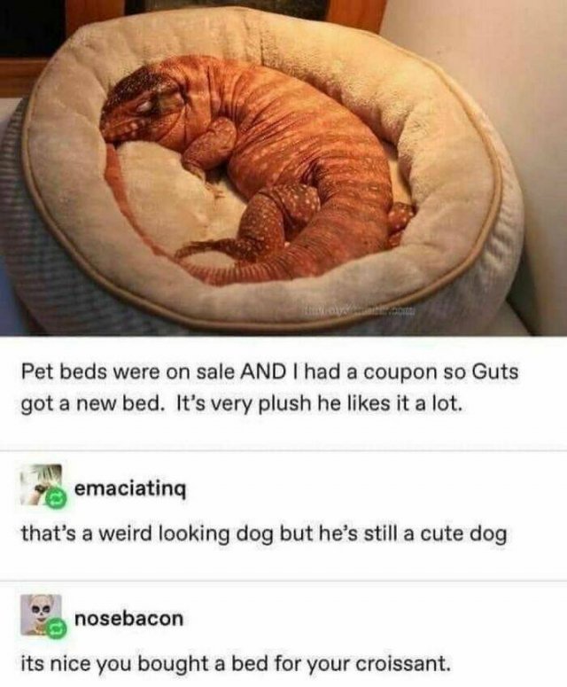 Random Jokes And Stories (23 pics)