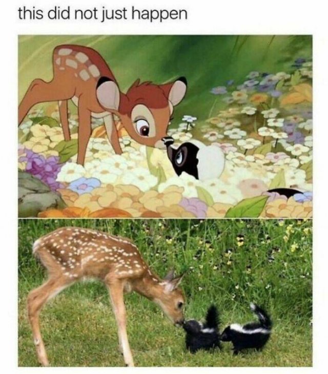 Memes With Animals (25 pics)