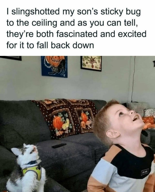 Random Jokes And Stories (23 pics)