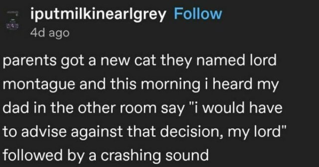 Random Jokes And Stories (23 pics)