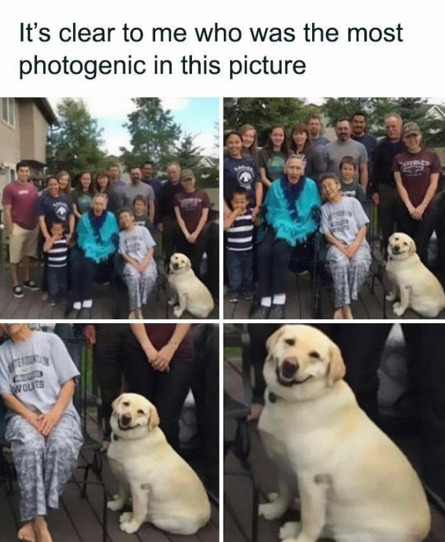 Random Jokes And Stories (23 pics)
