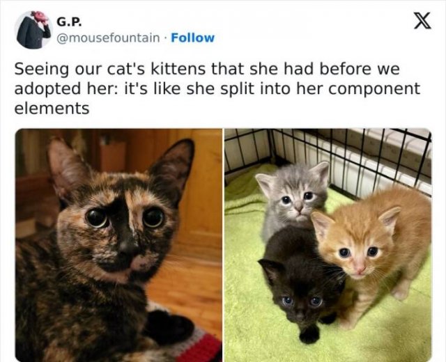 Random Jokes And Stories (23 pics)