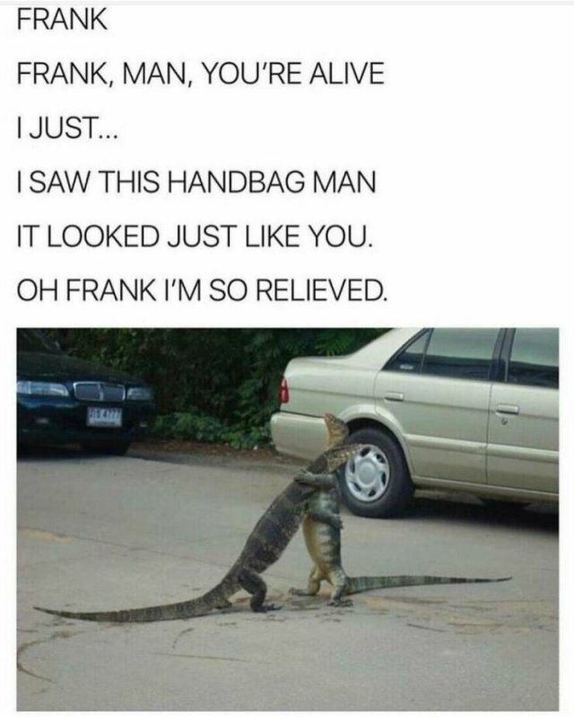 Memes With Animals (22 pics)