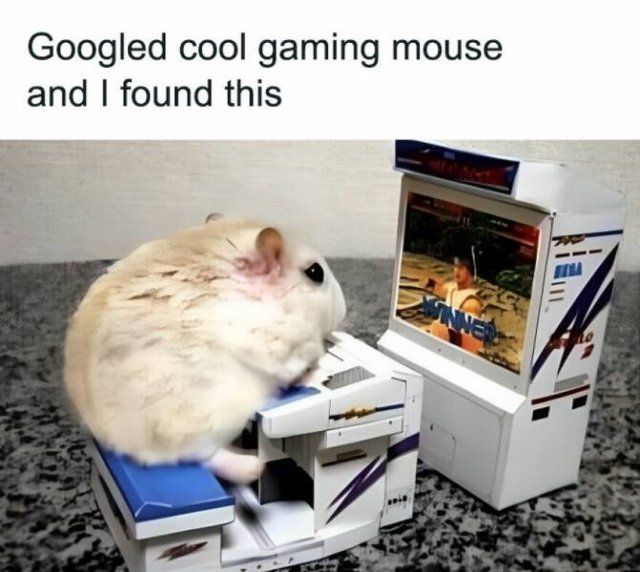 Memes With Animals (22 pics)
