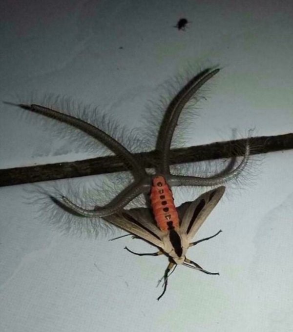 Creepy Photos (18 pics)