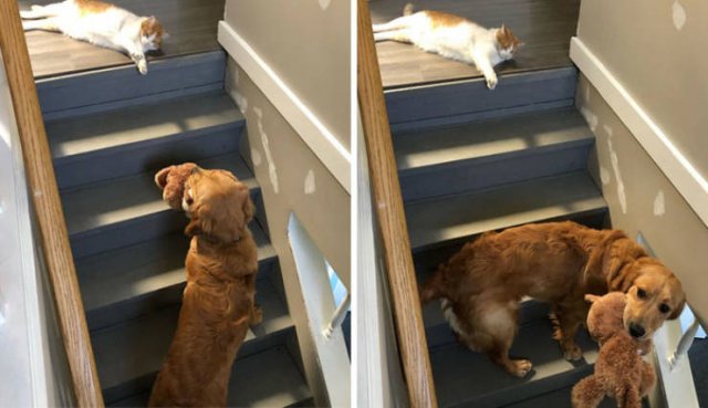 They Don't Like Their Neighbors (20 pics) They Don't Like Their Neighbors (20 pics)