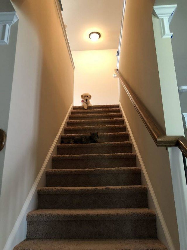 They Don't Like Their Neighbors (20 pics) They Don't Like Their Neighbors (20 pics)