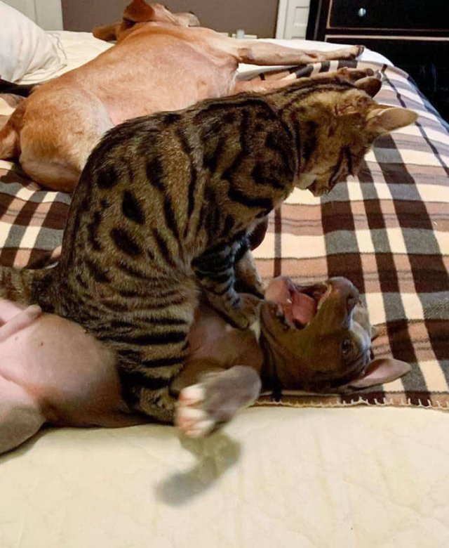 They Don't Like Their Neighbors (20 pics) They Don't Like Their Neighbors (20 pics)
