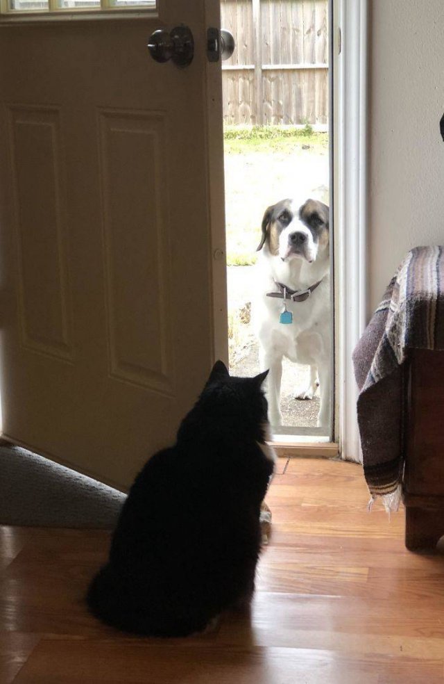 They Don't Like Their Neighbors (20 pics) They Don't Like Their Neighbors (20 pics)