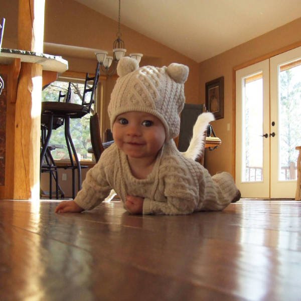 Funny Cats (20 pics)