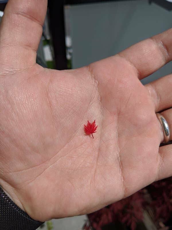 Interesting Finds And Discoveries From Around The World (19 pics)
