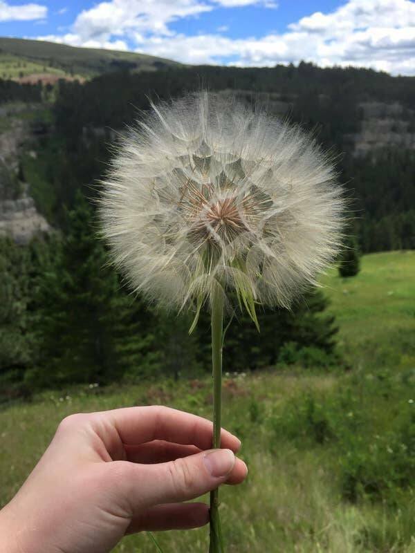 Interesting Finds And Discoveries From Around The World (19 pics)
