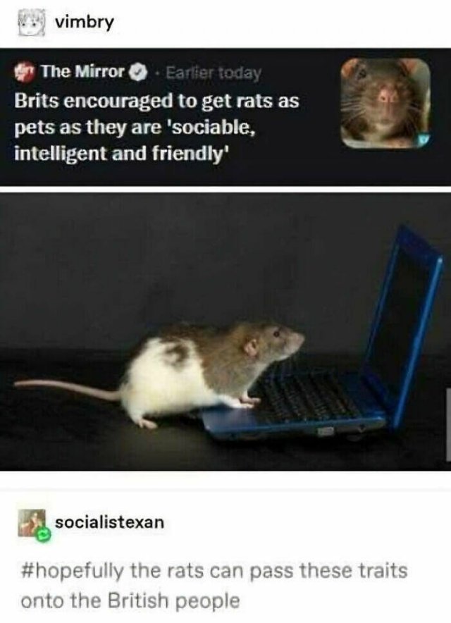 Memes About Britain (23 pics)