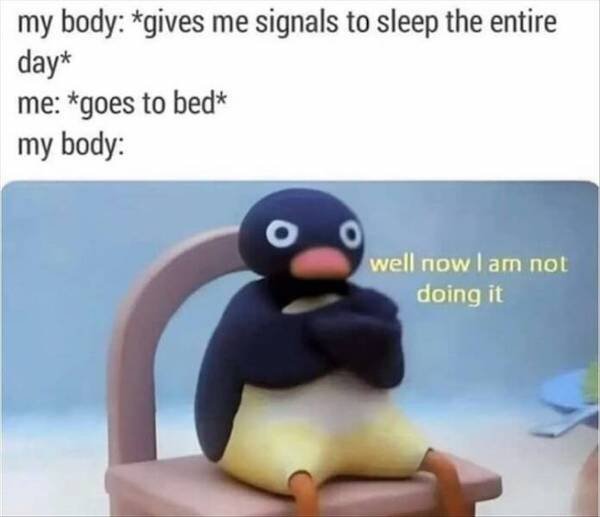 Truthful Memes (41 pics)