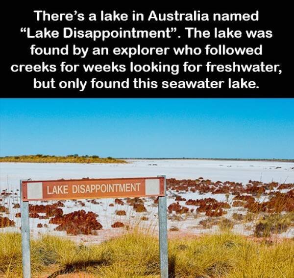 Funny Signs (36 pics)