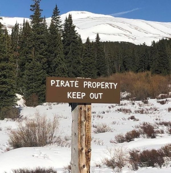 Funny Signs (36 pics)
