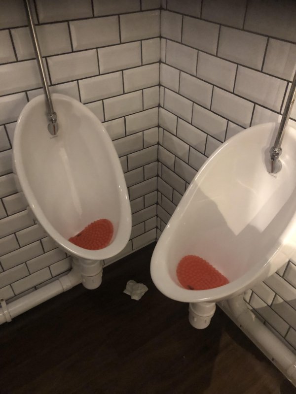 What Is Going On Here? (29 pics)