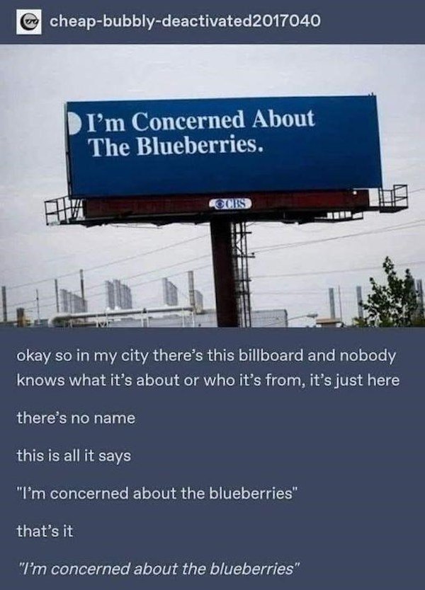 Funny Signs (36 pics)