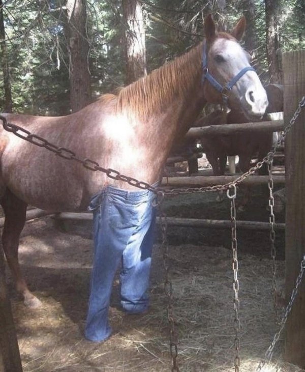 What Is Going On Here? (29 pics)