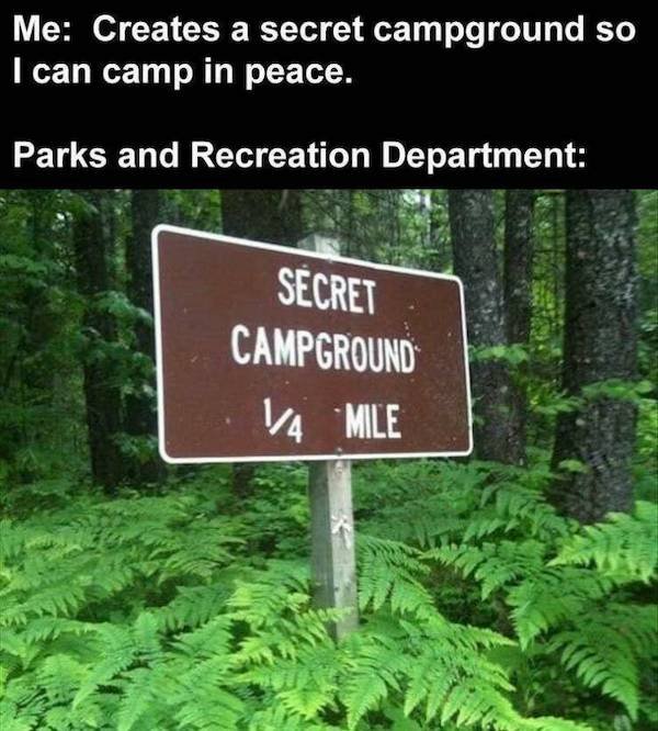 Funny Signs (36 pics)