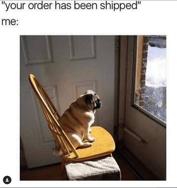 Truthful Memes (41 pics)