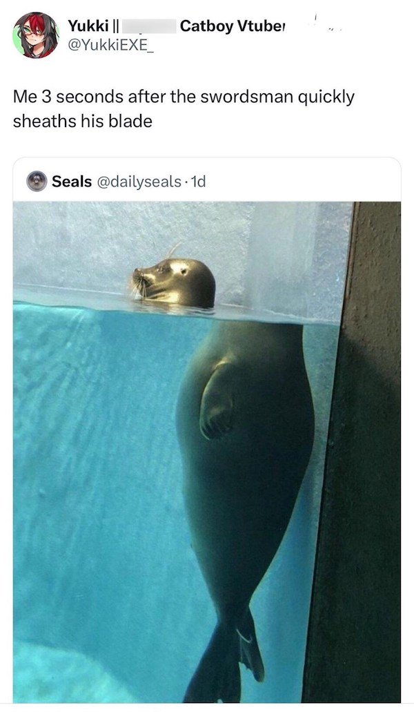 Truthful Memes (41 pics)