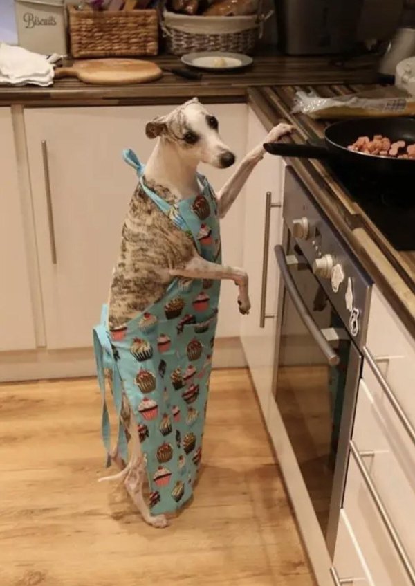 What Is Going On Here? (29 pics)