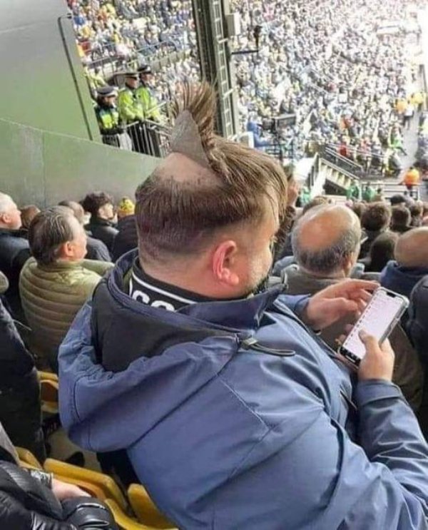 What Is Going On Here? (29 pics)