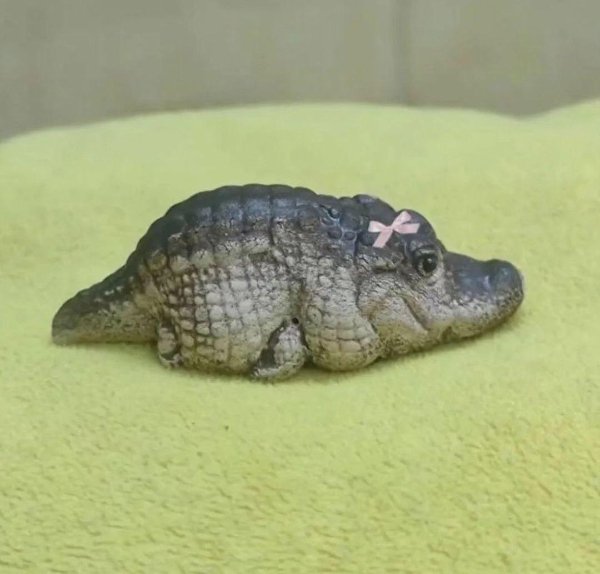 What Is Going On Here? (29 pics)