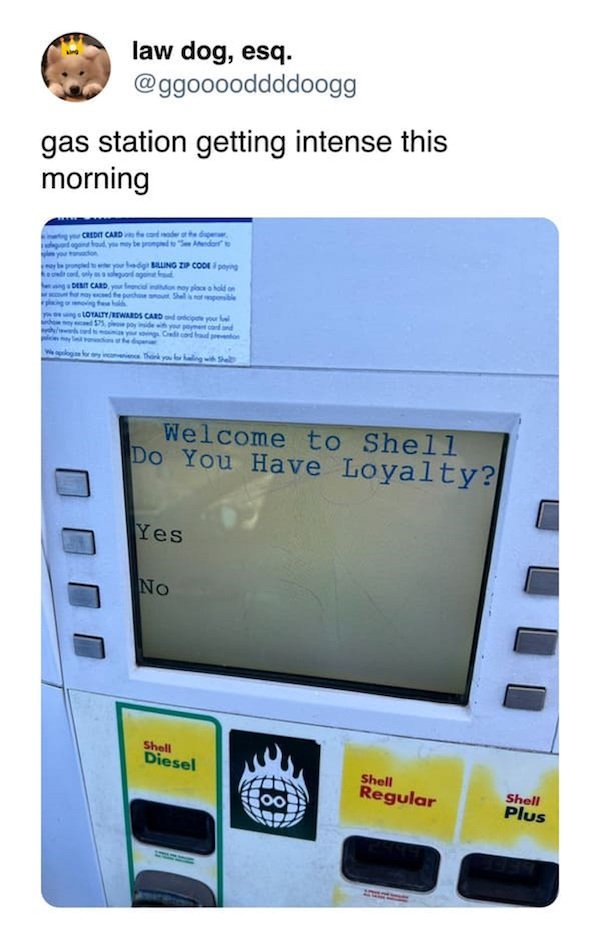 Funny Signs (36 pics)