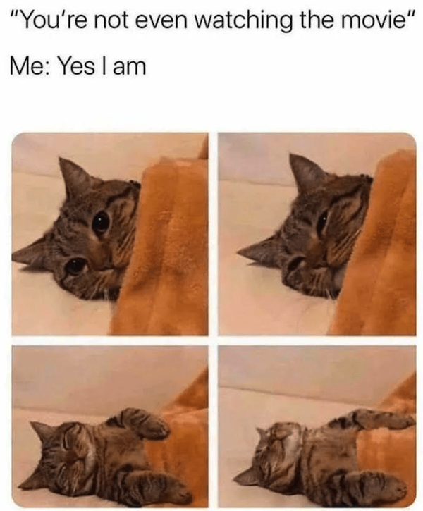 Truthful Memes (41 pics)