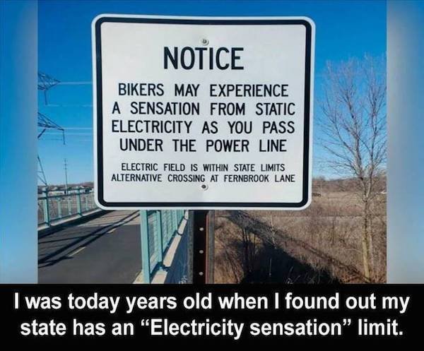Funny Signs (36 pics)