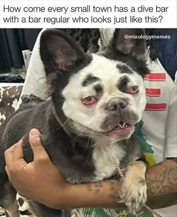 Truthful Memes (41 pics)