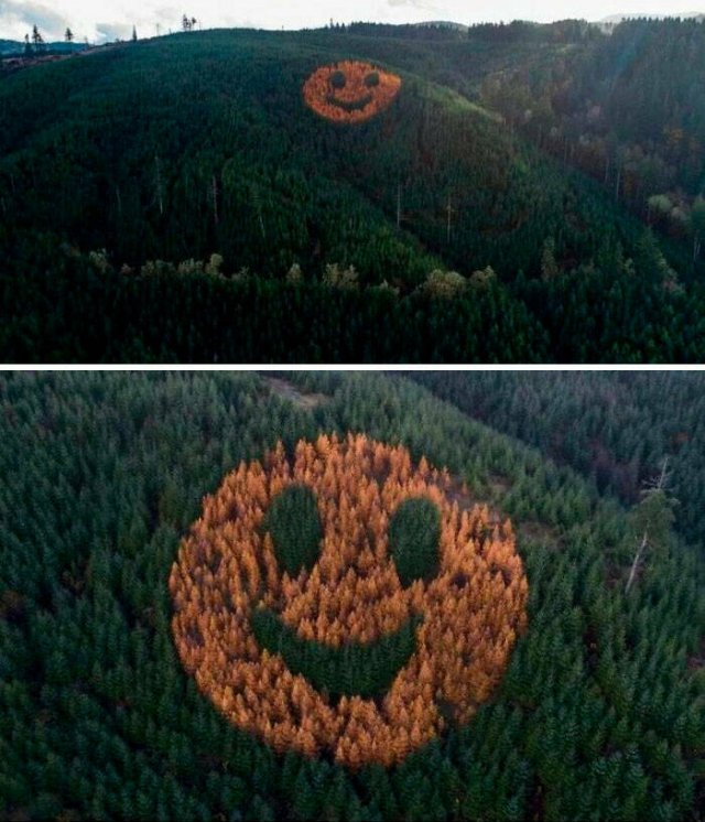 Cool Finds From Around The World (25 pics)