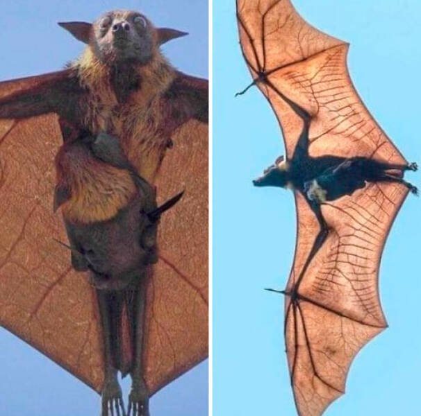 Cool Finds From Around The World (25 pics)