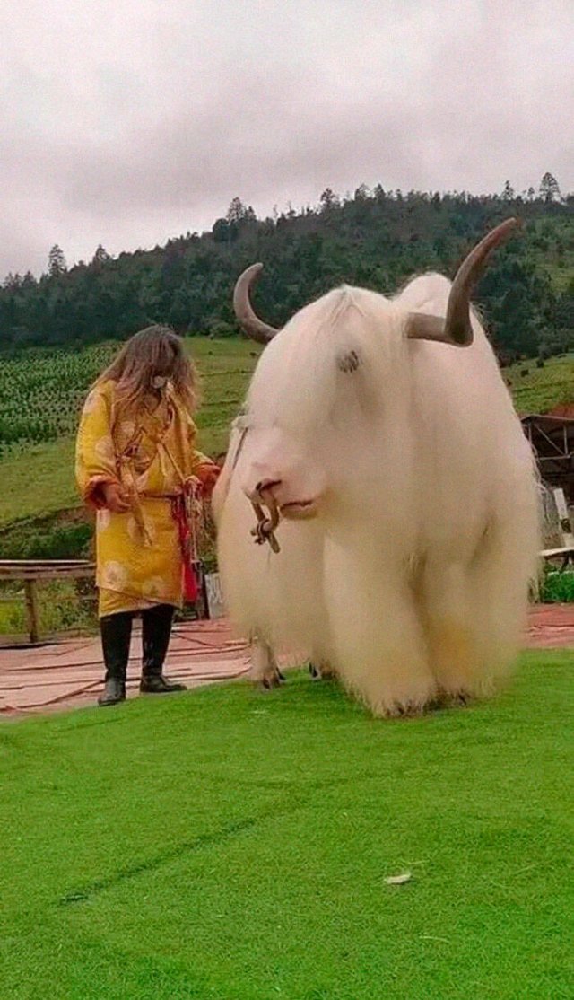 Cool Finds From Around The World (25 pics)