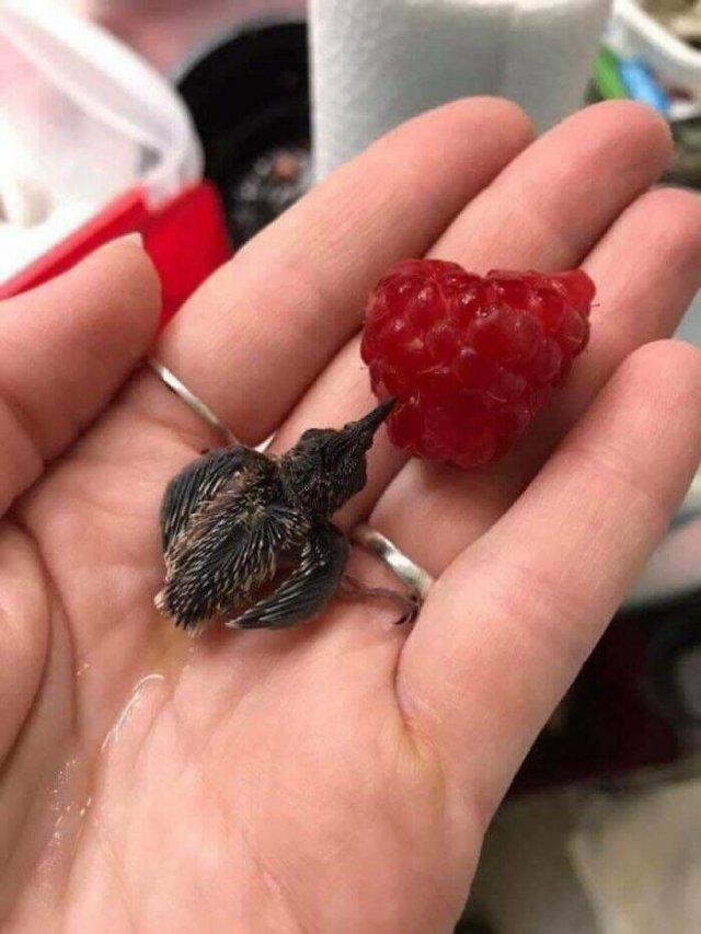 Cool Finds From Around The World (25 pics)