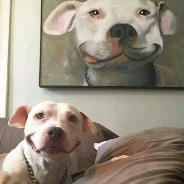Cool Finds From Around The World (25 pics)