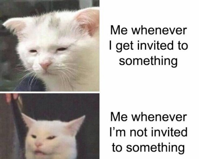 Memes About Introverts (25 pics)