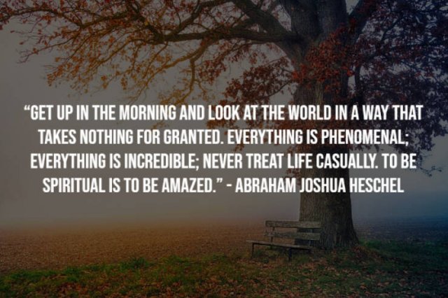 Motivational Sayings (20 pics)