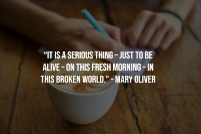 Motivational Sayings (20 pics)