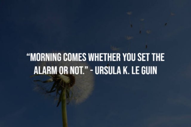 Motivational Sayings (20 pics)