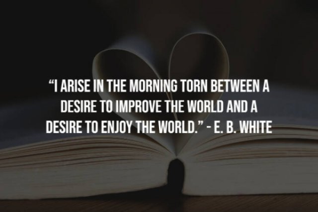 Motivational Sayings (20 pics)